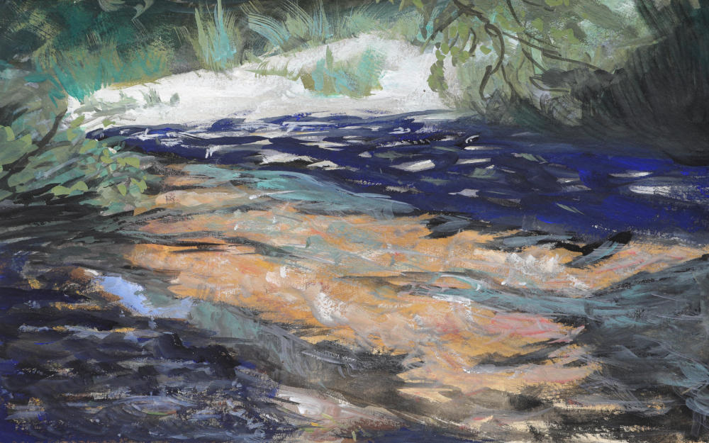 Creek at Oceano&nbsp;Dunes