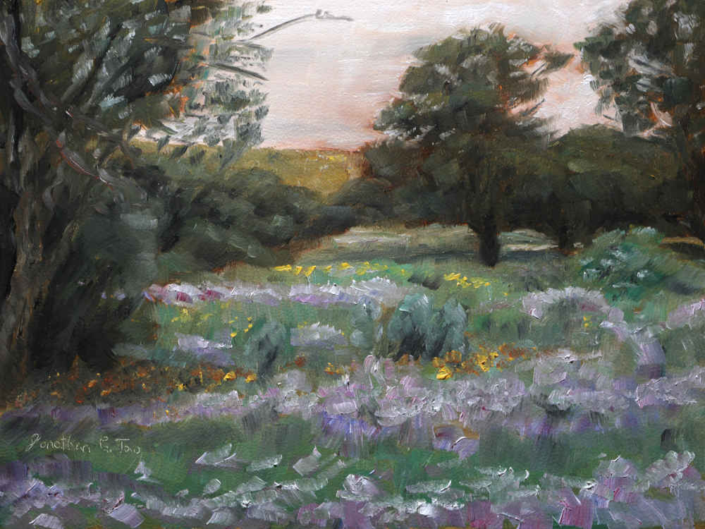 Flower Field at Douglas&nbsp;Preserve