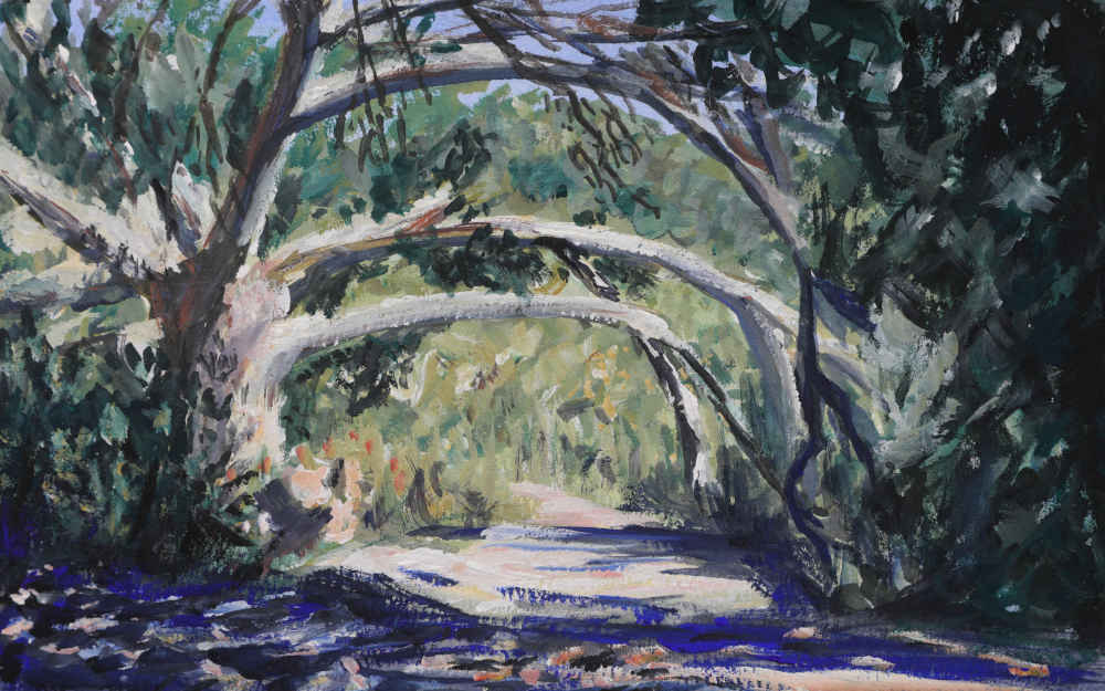 Douglas Preserve Trail